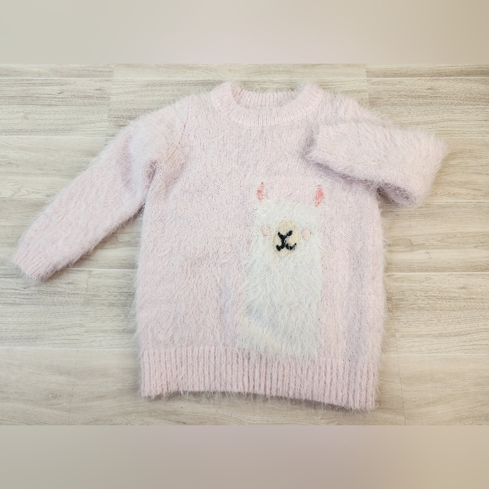 2T Cat & Jack Sweater